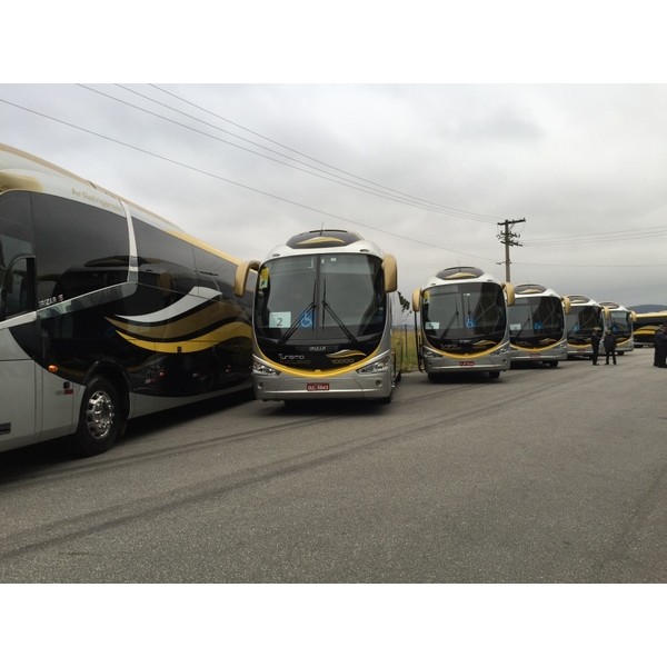 Locação Micro ônibus Preço na Vila Santa Terezinha - Locação de Micro ônibus em Santo André